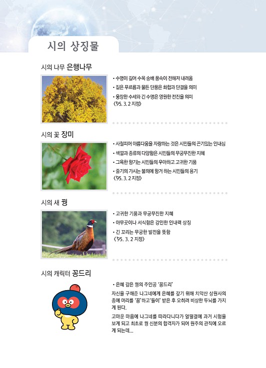 12페이지