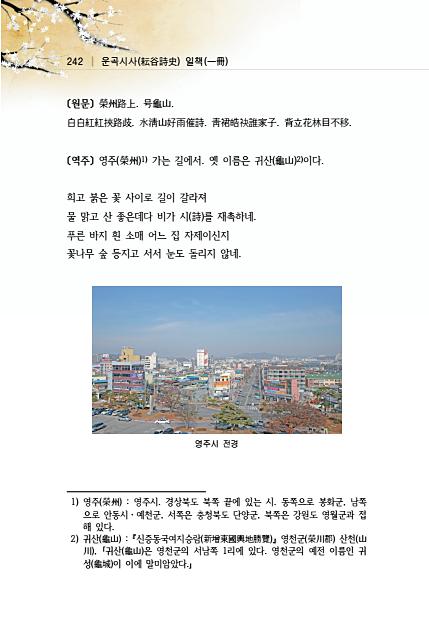 256페이지