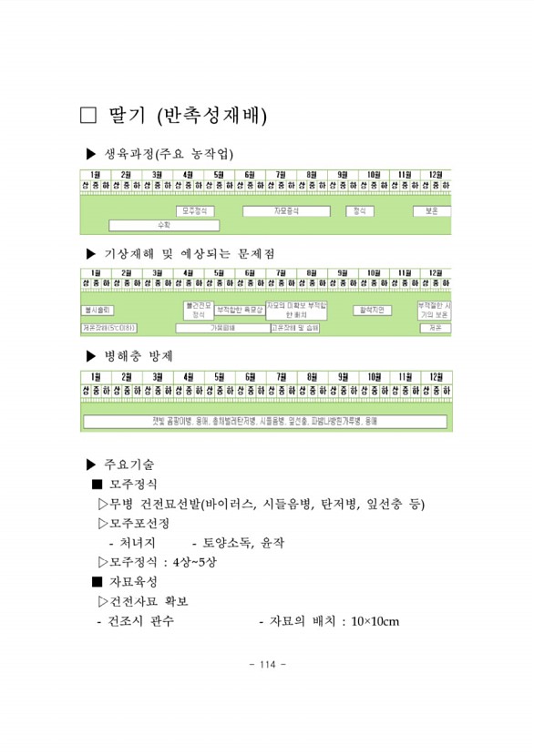 117페이지