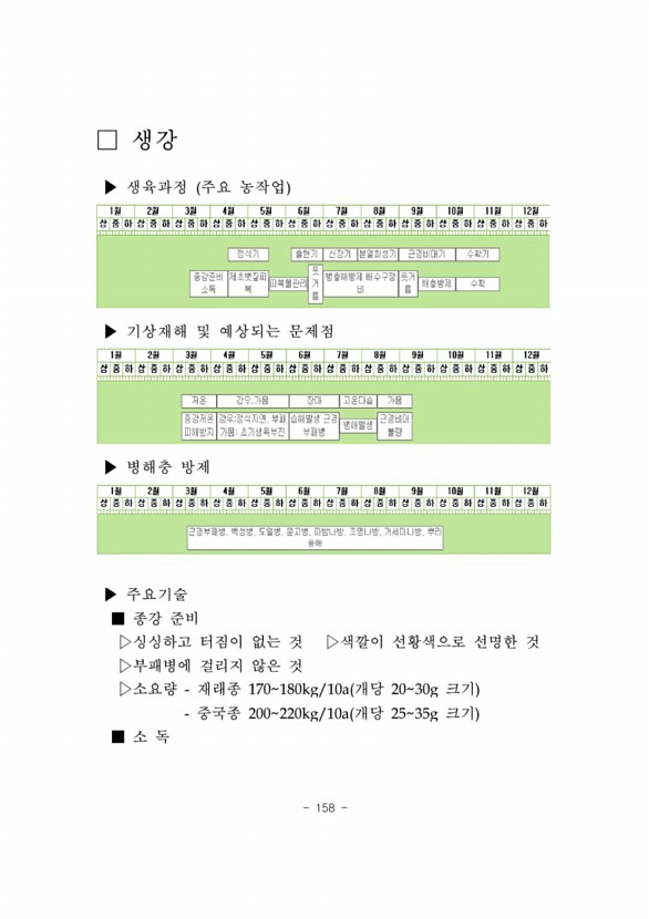 161페이지