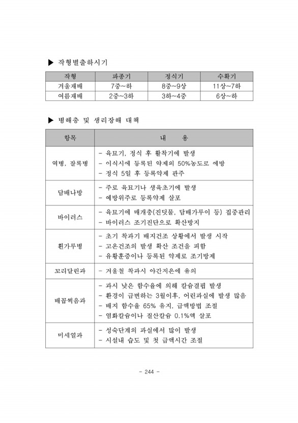 247페이지