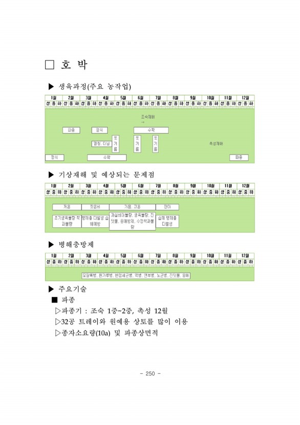 253페이지