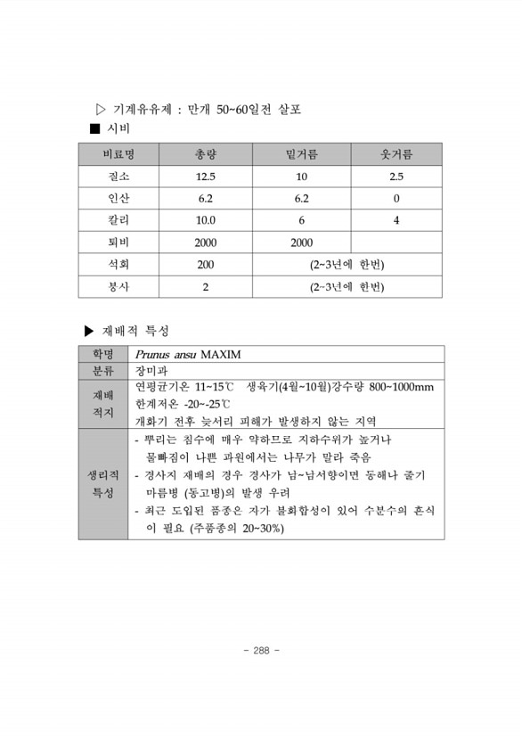 291페이지