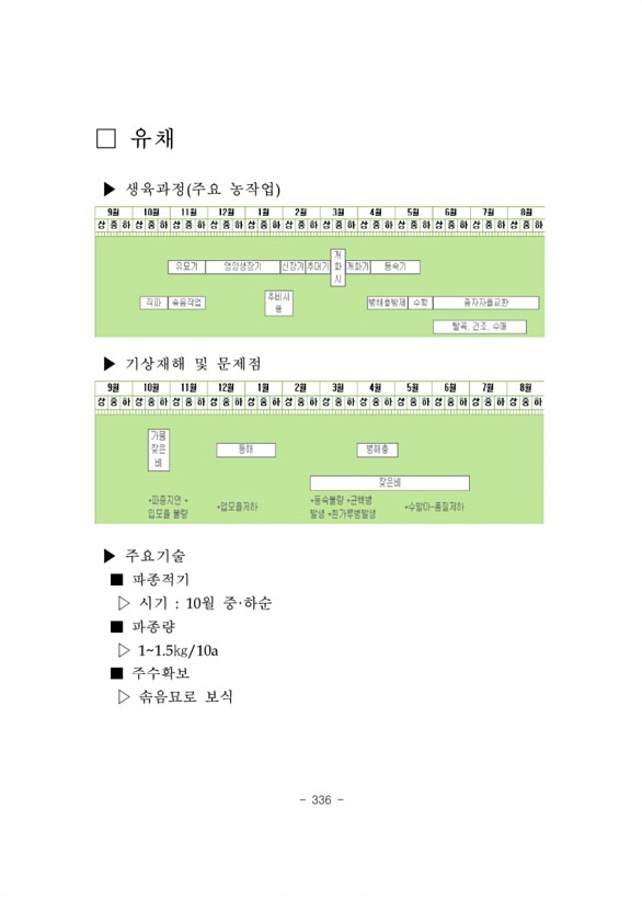 339페이지