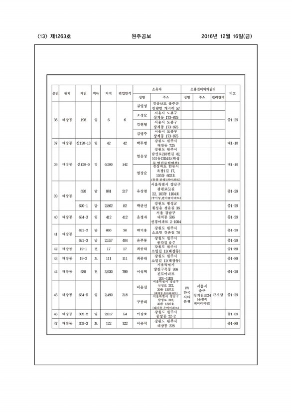 13페이지