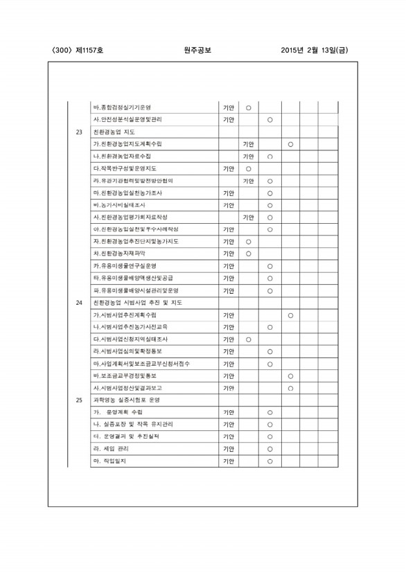 300페이지